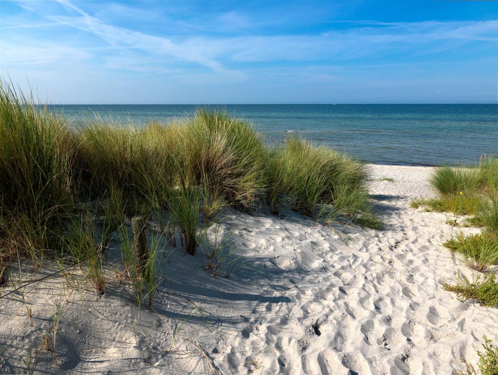 Einhusen Gute Stube Apartment Insel Poel Bagian luar foto