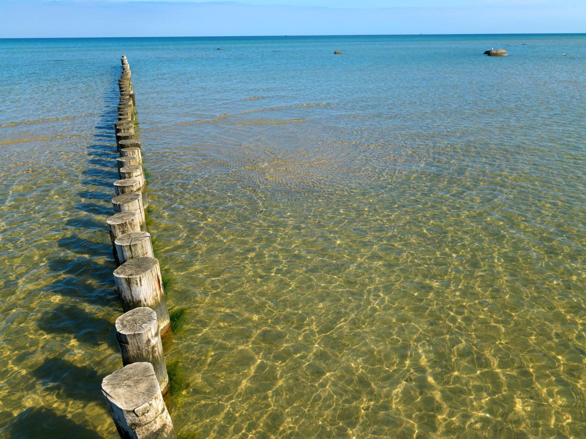 Einhusen Gute Stube Apartment Insel Poel Bagian luar foto